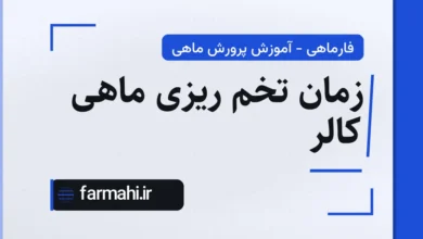 زمان تخم ریزی ماهی کالر