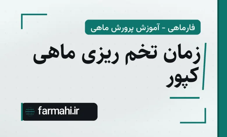 زمان تخم ریزی ماهی کپور