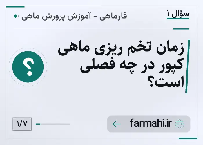 زمان تخم ریزی ماهی کپور در چه فصلی است؟