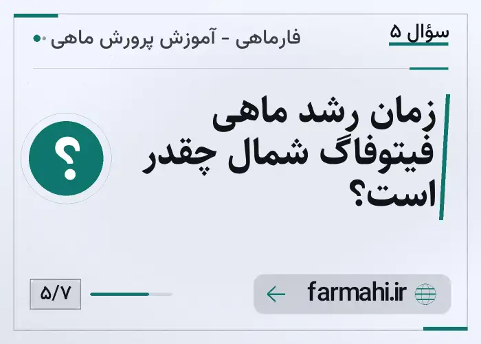 زمان رشد ماهی فیتوفاگ شمال چقدر است؟