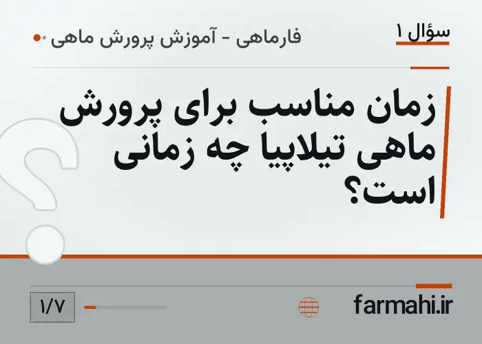 زمان مناسب برای پرورش ماهی تیلاپیا چه زمانی است؟