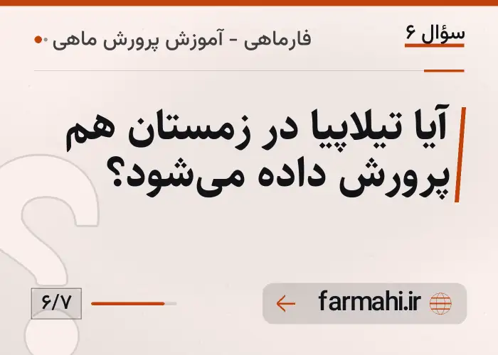 آیا تیلاپیا در زمستان هم پرورش داده میشود؟