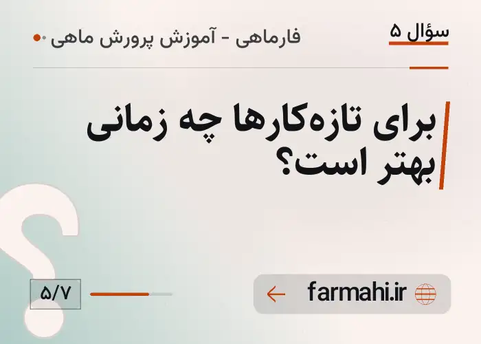 برای تازه‌کارها چه زمانی بهتر است؟
