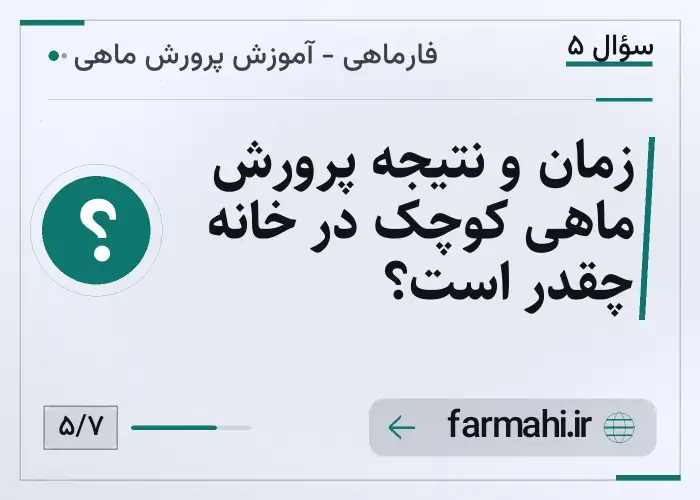 زمان و نتیجه پرورش ماهی کوچک در خانه چقدر است؟