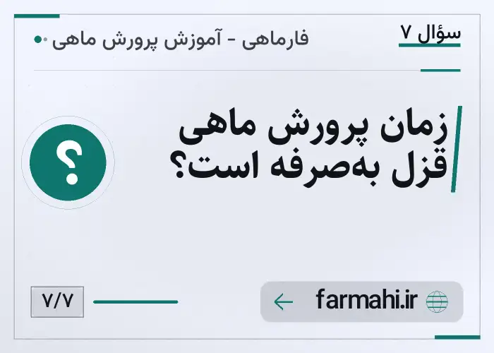 زمان پرورش ماهی قزل به‌صرفه است؟