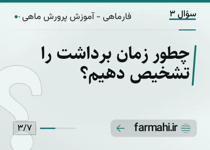 چطور زمان برداشت را تشخیص دهیم؟