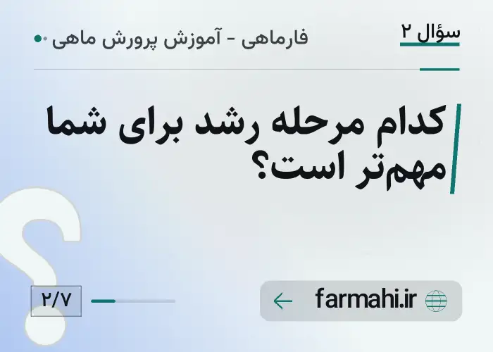 کدام مرحله رشد برای شما مهم‌تر است؟