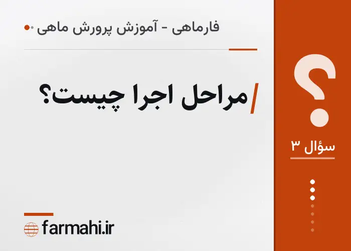 مراحل اجرا چیست؟
