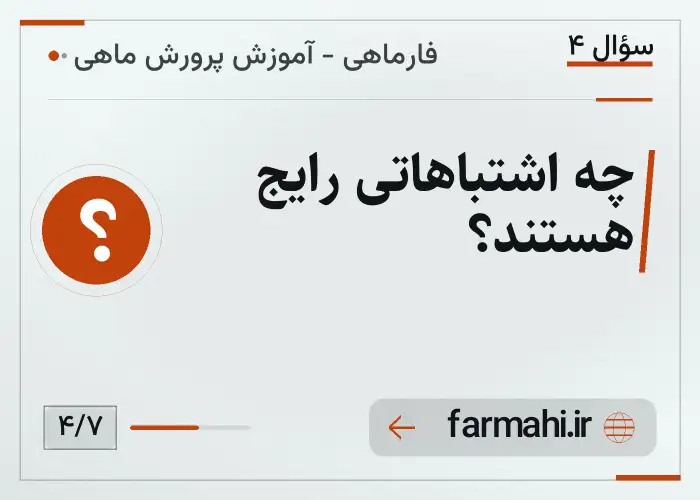 چه اشتباهاتی رایج هستند؟