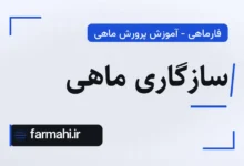 سازگاری ماهی