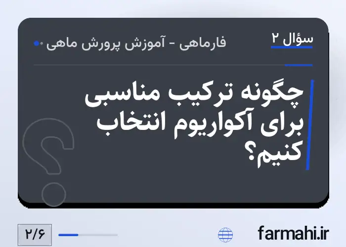 چگونه ترکیب مناسبی برای آکواریوم انتخاب کنیم؟