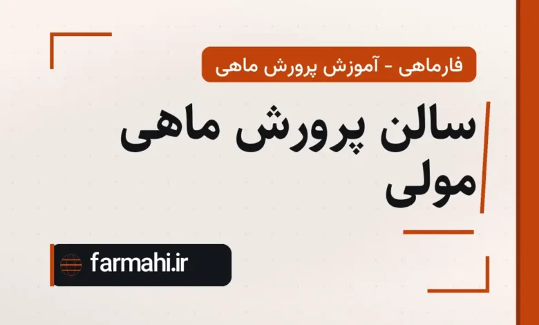 سالن پرورش ماهی مولی