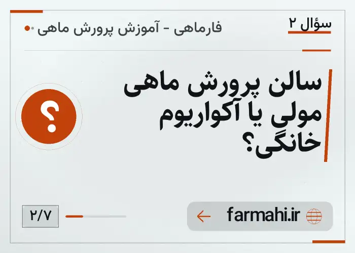 سالن پرورش ماهی مولی یا آکواریوم خانگی؟