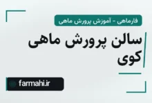 سالن پرورش ماهی کوی
