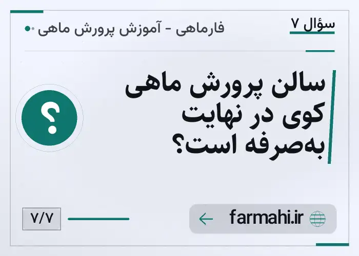 سالن پرورش ماهی کوی در نهایت به‌صرفه است؟