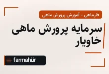سرمایه پرورش ماهی خاویار