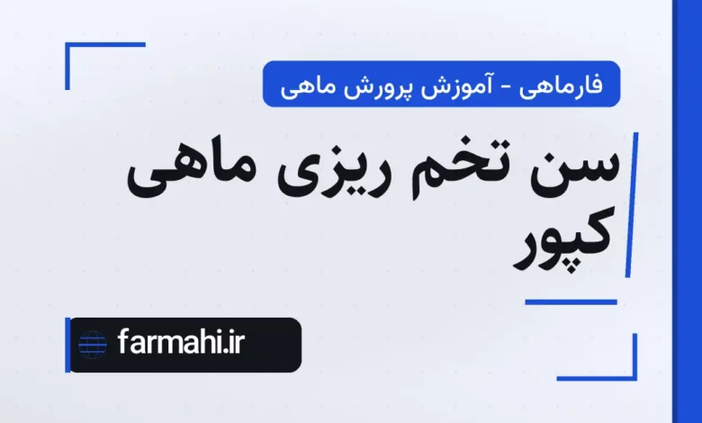 سن تخم ریزی ماهی کپور