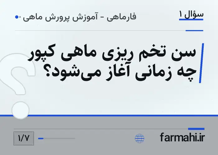سن تخم ریزی ماهی کپور چه زمانی آغاز می‌شود؟