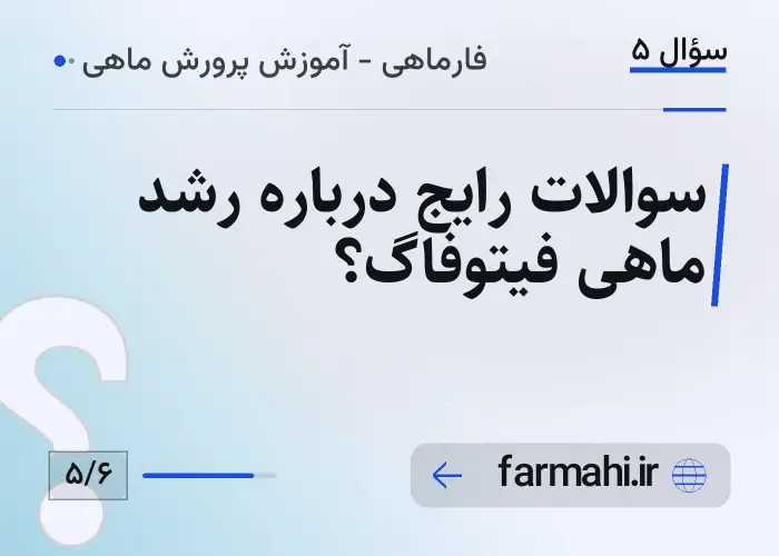 سوالات رایج درباره رشد ماهی فیتوفاگ؟
