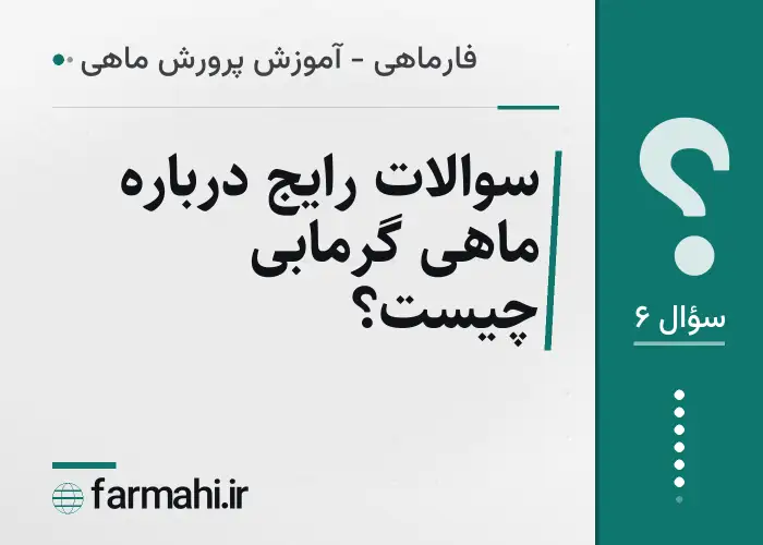 سوالات رایج درباره ماهی گرمابی چیست؟