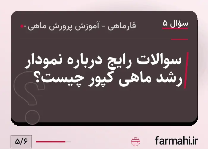 سوالات رایج درباره نمودار رشد ماهی کپور چیست؟