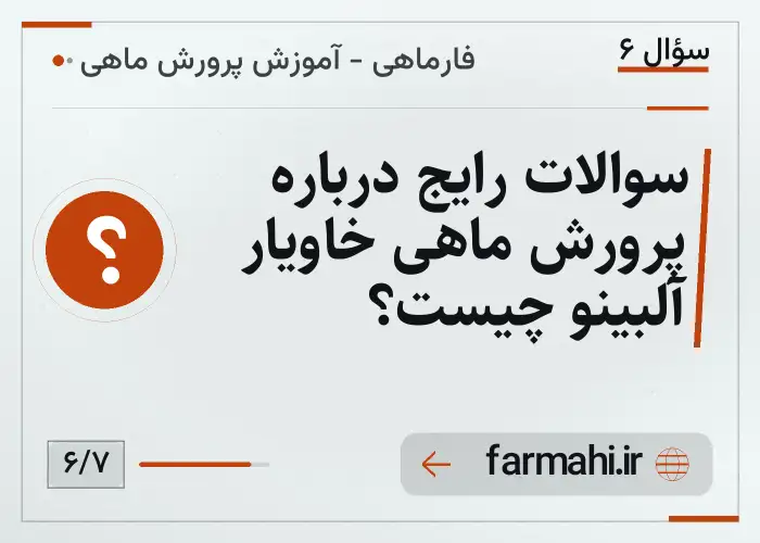 سوالات رایج درباره پرورش ماهی خاویار آلبینو چیست؟