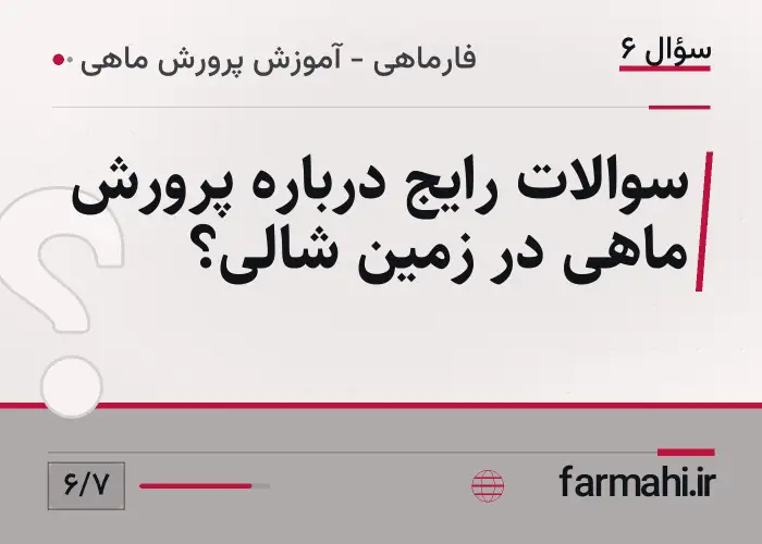 سوالات رایج درباره پرورش ماهی در زمین شالی؟
