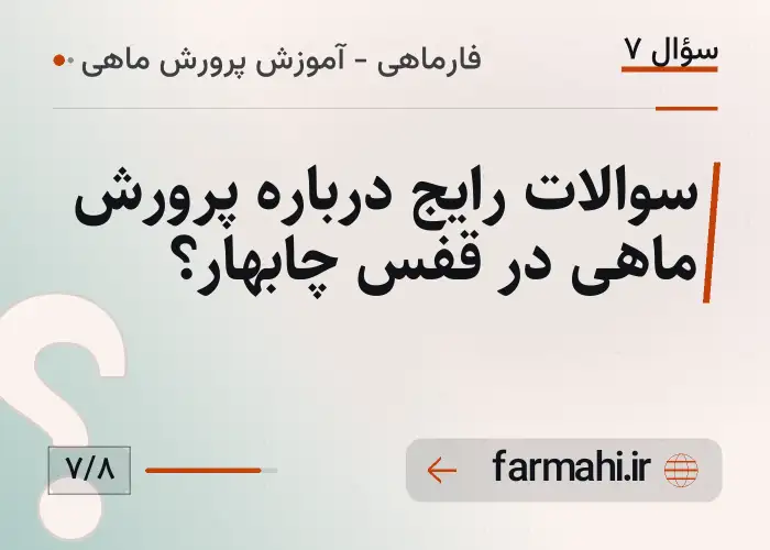 سوالات رایج درباره پرورش ماهی در قفس چابهار؟