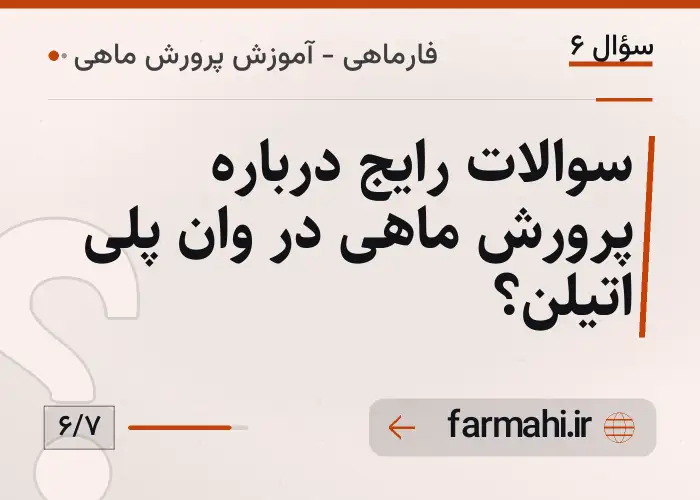 سوالات رایج درباره پرورش ماهی در وان پلی اتیلن؟