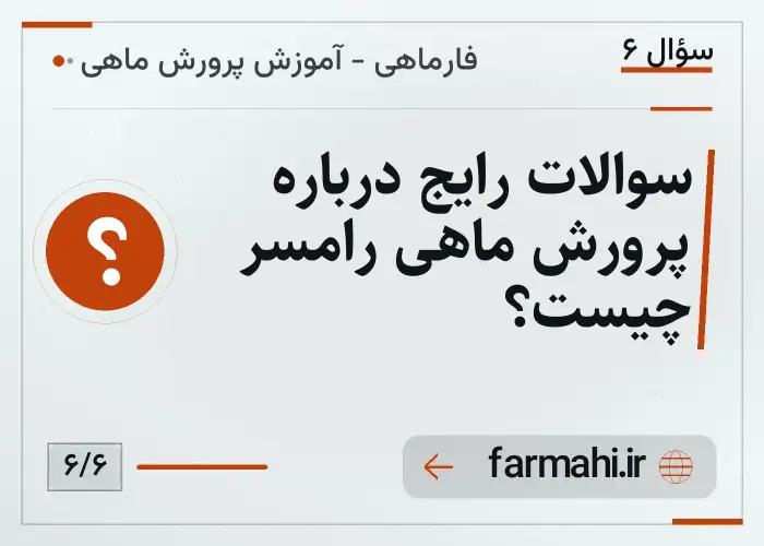 سوالات رایج درباره پرورش ماهی رامسر چیست؟