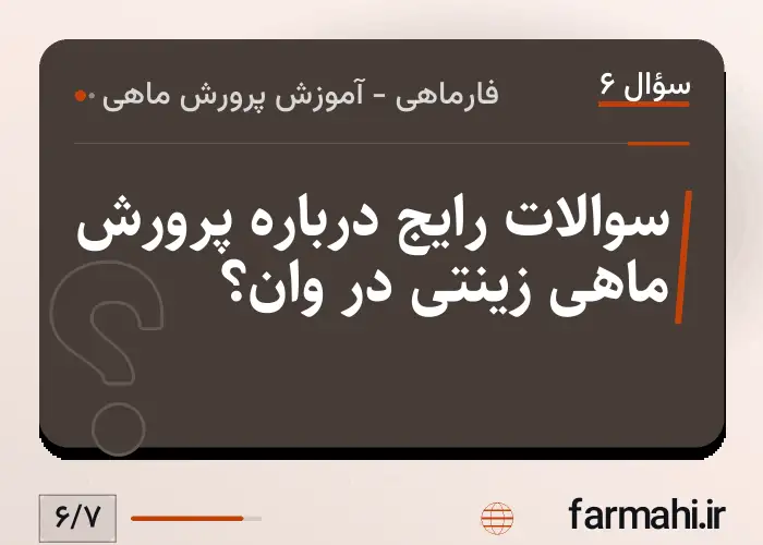 سوالات رایج درباره پرورش ماهی زینتی در وان؟