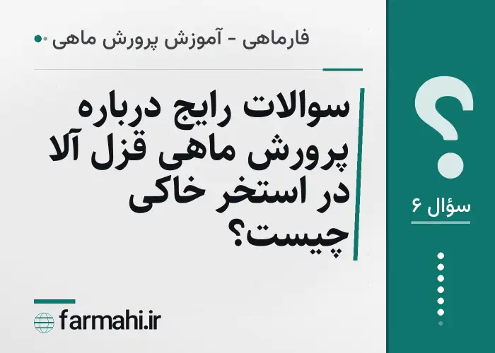 سوالات رایج درباره پرورش ماهی قزل آلا در استخر خاکی چیست؟
