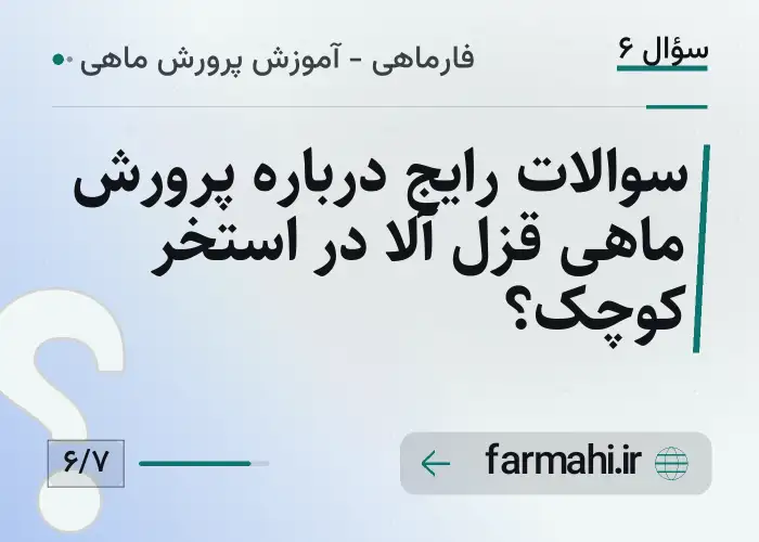 سوالات رایج درباره پرورش ماهی قزل آلا در استخر کوچک؟