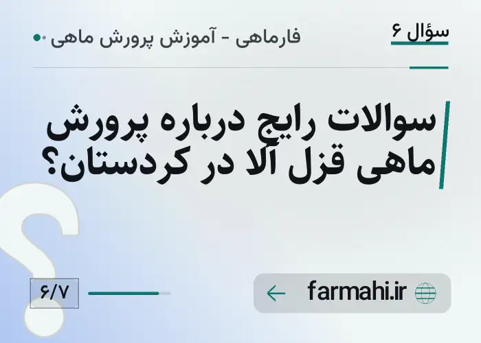 سوالات رایج درباره پرورش ماهی قزل آلا در کردستان؟