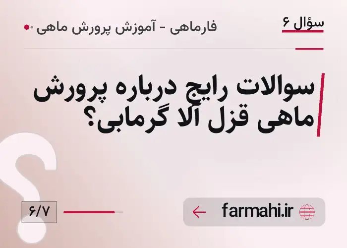 سوالات رایج درباره پرورش ماهی قزل آلا گرمابی؟