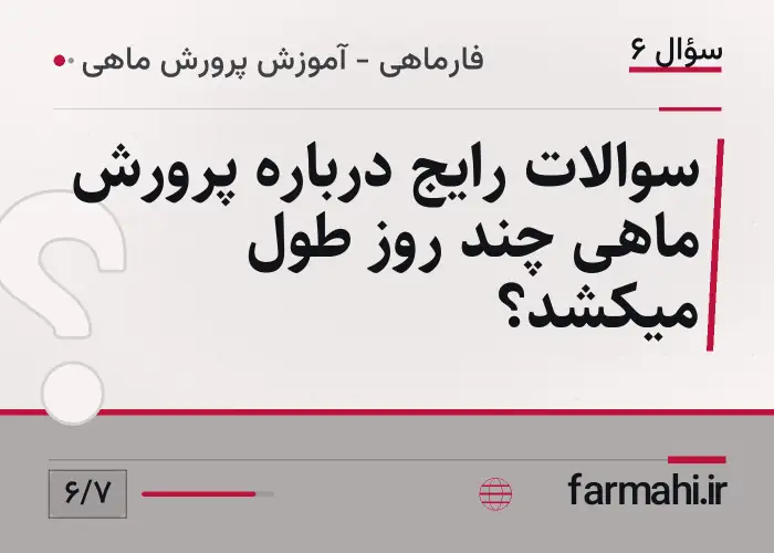 سوالات رایج درباره پرورش ماهی چند روز طول میکشد؟