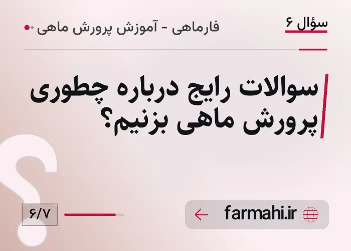 سوالات رایج درباره چطوری پرورش ماهی بزنیم؟