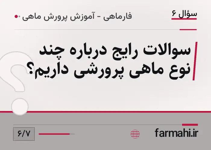 سوالات رایج درباره چند نوع ماهی پرورشی داریم؟
