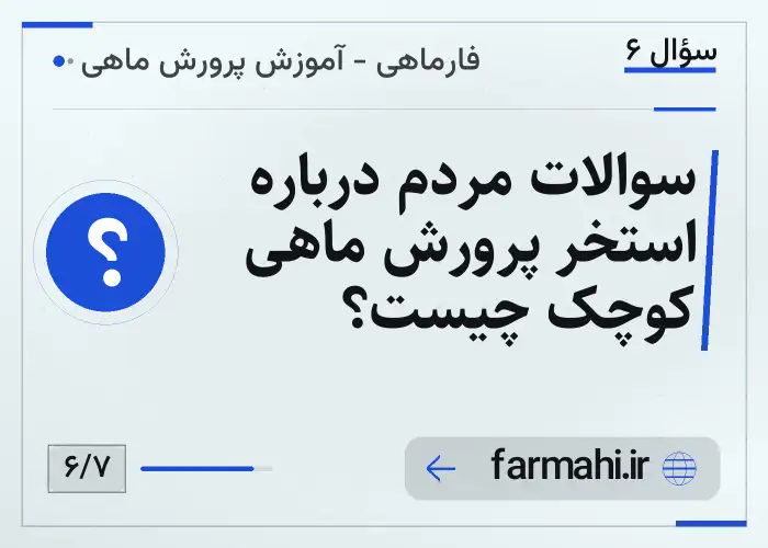 سوالات مردم درباره استخر پرورش ماهی کوچک چیست؟