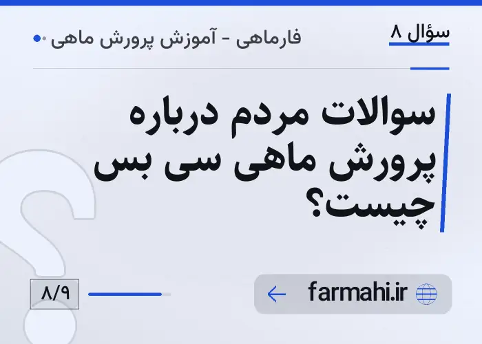 سوالات مردم درباره پرورش ماهی سی بس چیست؟