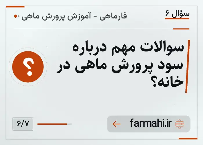 سوالات مهم درباره سود پرورش ماهی در خانه؟