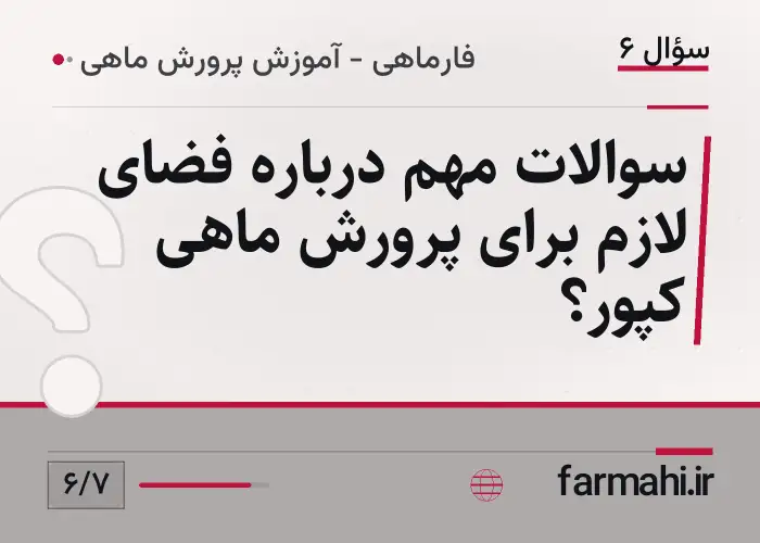 سوالات مهم درباره فضای لازم برای پرورش ماهی کپور؟