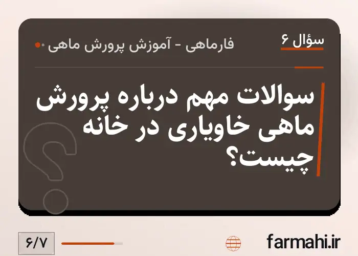 سوالات مهم درباره پرورش ماهی خاویاری در خانه چیست؟