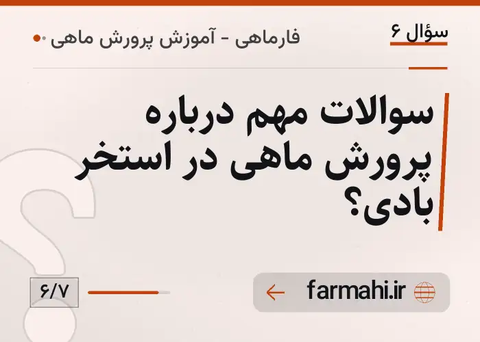 سوالات مهم درباره پرورش ماهی در استخر بادی؟