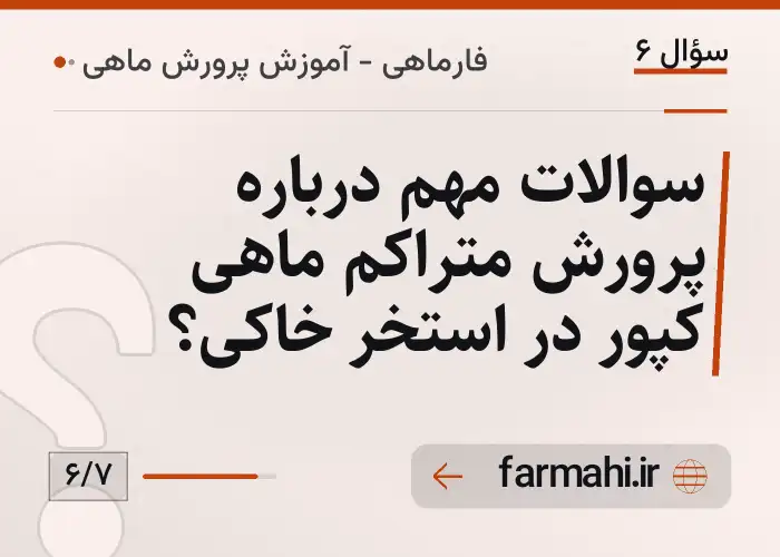 سوالات مهم درباره پرورش متراکم ماهی کپور در استخر خاکی؟