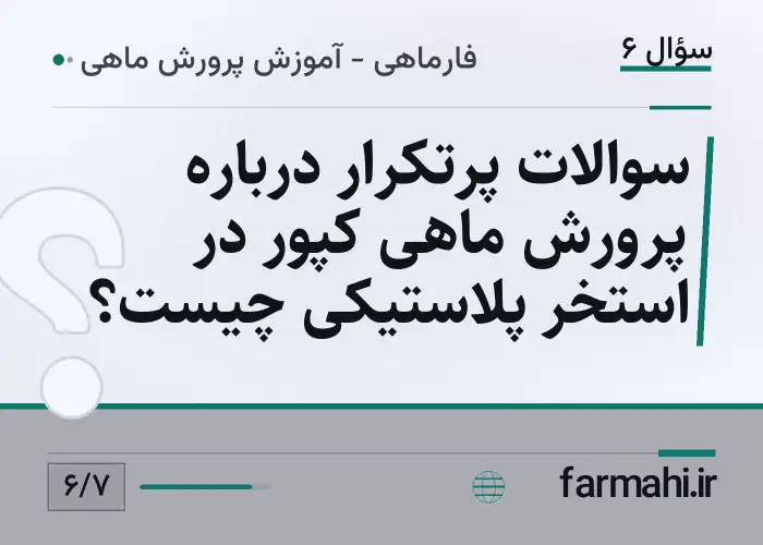 سوالات پرتکرار درباره پرورش ماهی کپور در استخر پلاستیکی چیست؟