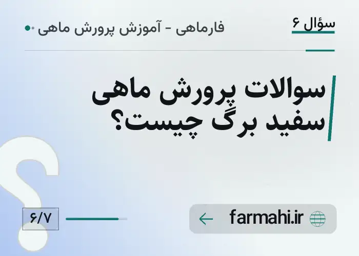 سوالات پرورش ماهی سفید برگ چیست؟