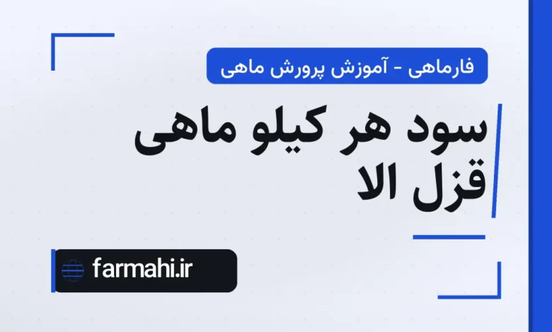 سود هر کیلو ماهی قزل الا