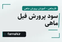 سود پرورش فیل ماهی