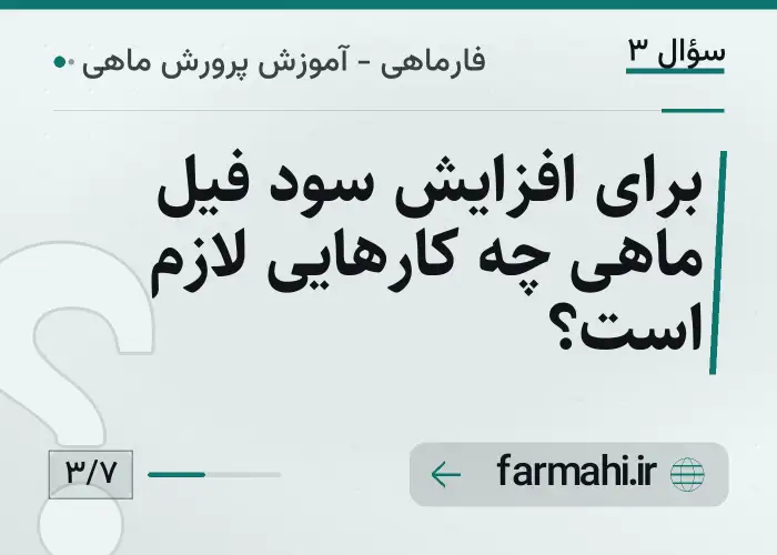 برای افزایش سود فیل ماهی چه کارهایی لازم است؟